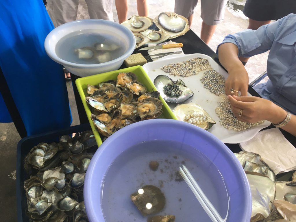 halong bay cruise, ha long bay, pearls, oysters, vietnam