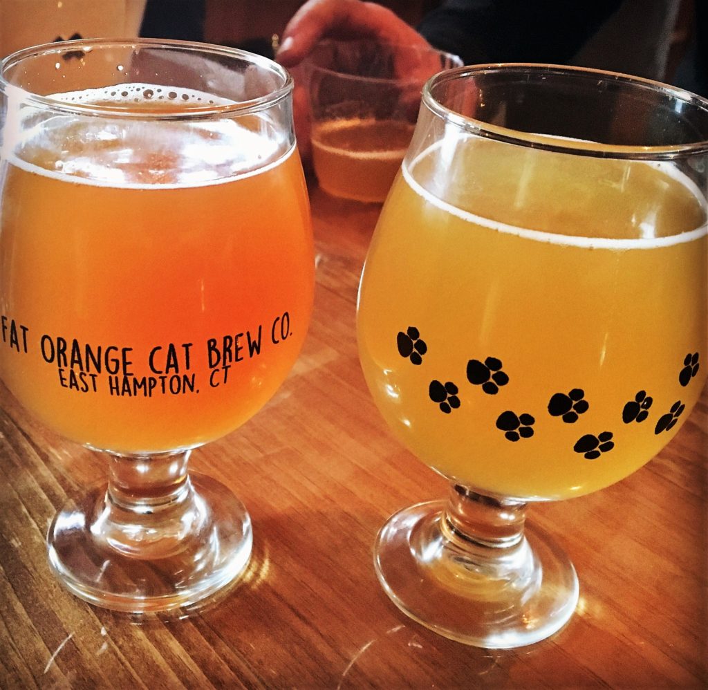 brewery, connecticut, beer, fat orange cat, craft beer, brew, central connecticut