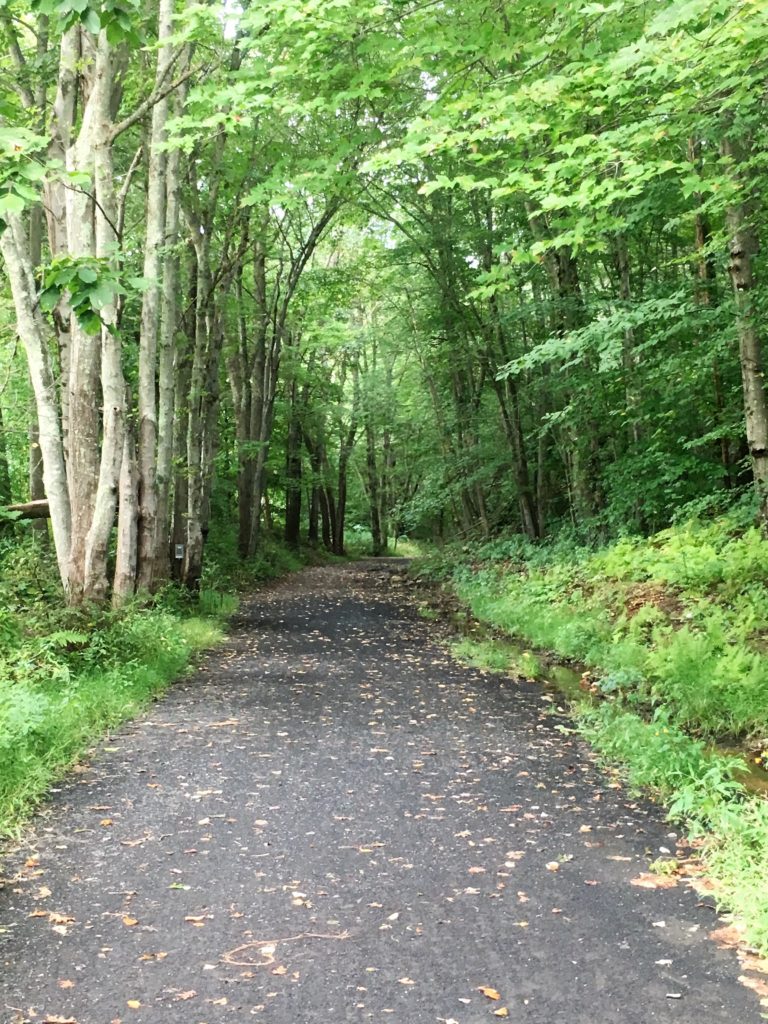 airline trail, old airline trail, rail trail, connecticut, hiking, walking, biking, outdoors, central connecticut