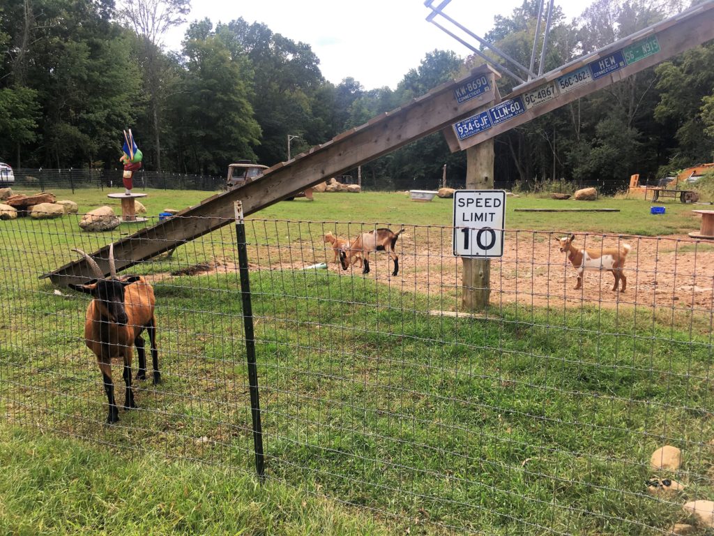 dining, restaurant, farm to table, outdoor seating, goats n roses, central connecticut