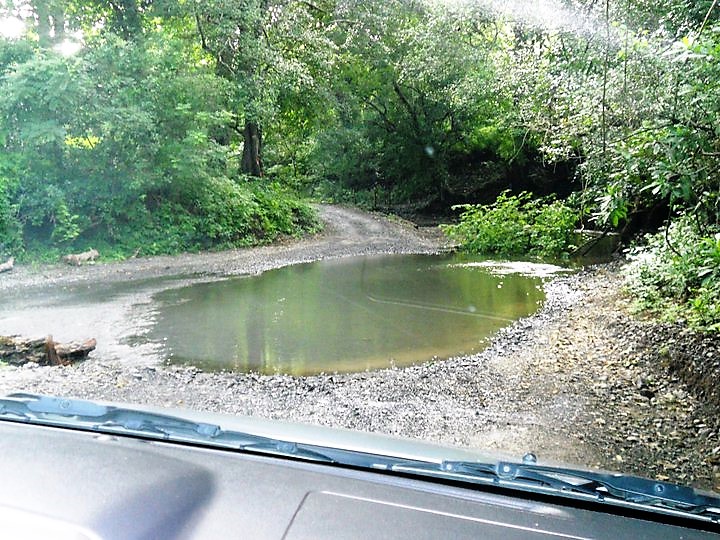 costa rica, driving, jungle, puddle