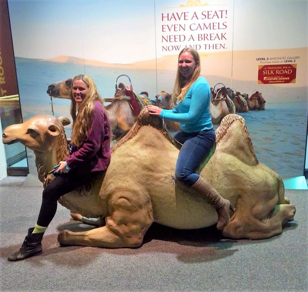 what to do in denver; museum of science; museum of nature and science; museum; downtown denver