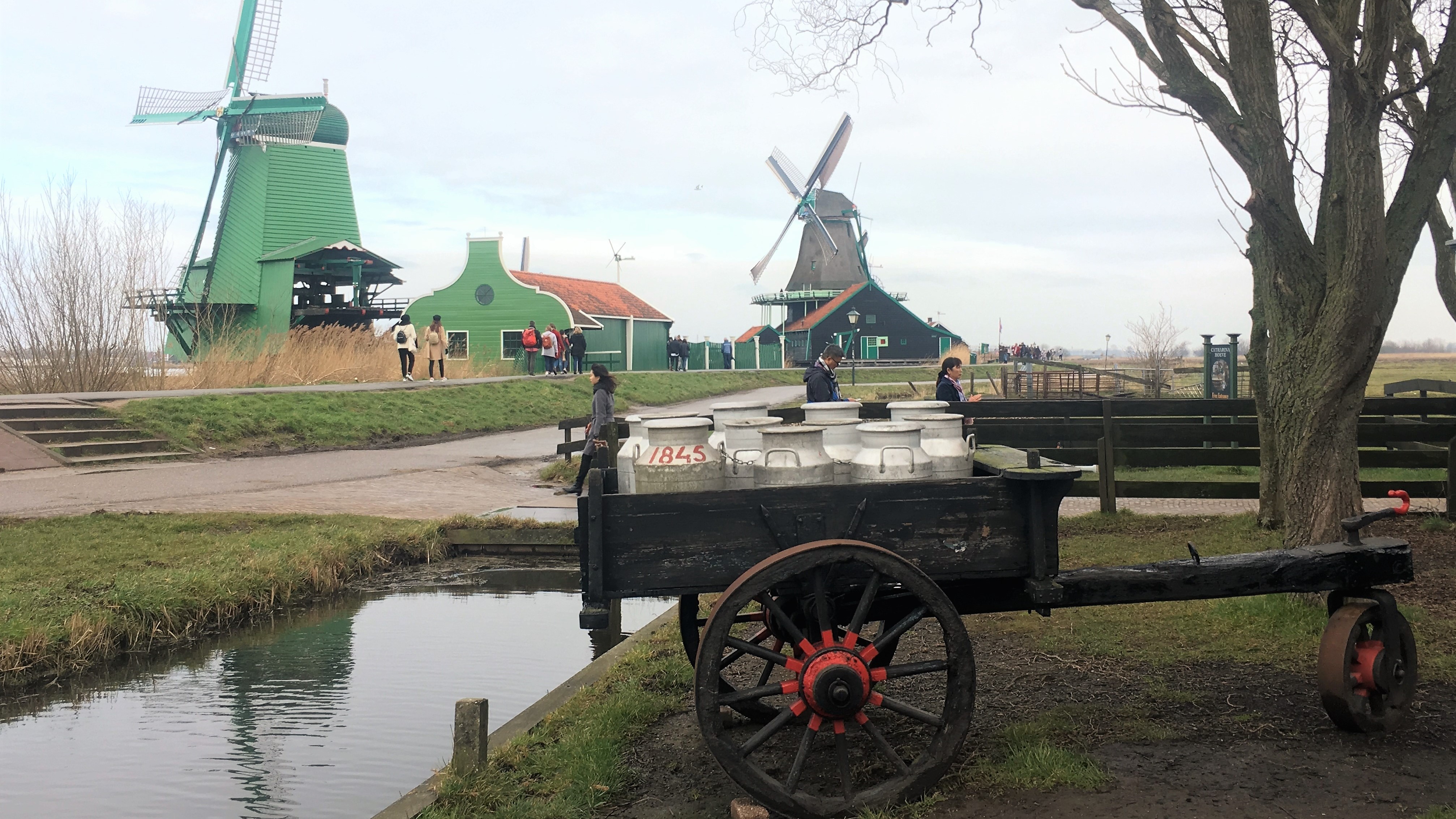 zaanse schans; netherlands; holland; windmills; dutch; amsterdam; day trip